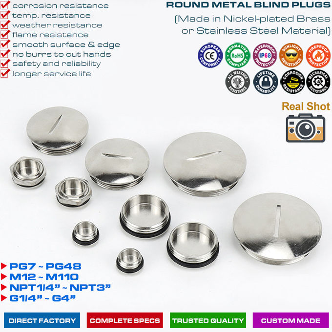 304، 316 فولاد ضد زنگ (برنجی)  پیچ پلاگین گرد یا شش ضلعی با رزوه های PG7~PG48  & M12~M110